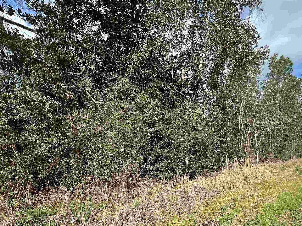 0 County Road 95, Elberta, AL 36530 MLS 627798 Zillow