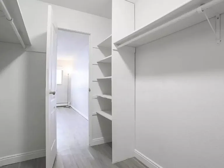 Walk in closet 1