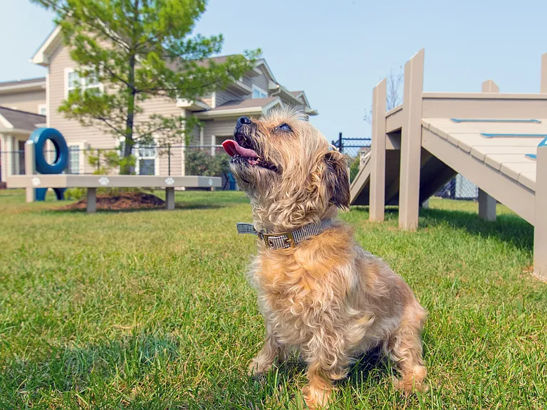 Our pet-friendly apartments in Monroe extend a warm welcome to your furry companions.