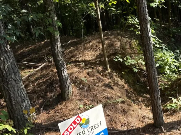 LOT 16 River Crest Dr, Cordova, AL 35550