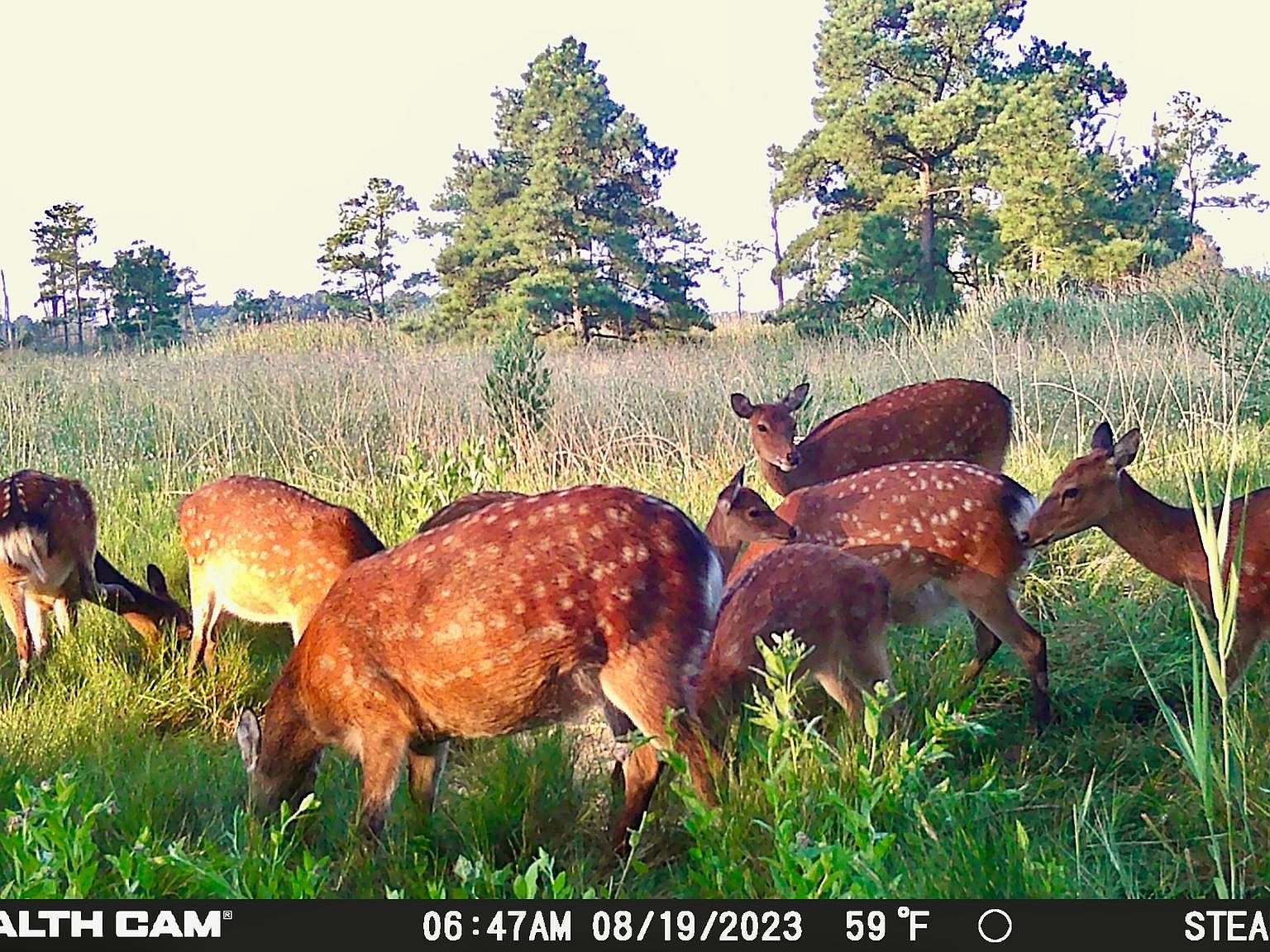 2936 Lakesville Rd, Church Creek, MD 21622 Zillow