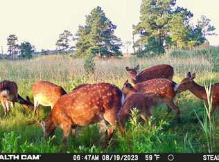 2936 Lakesville Rd, Church Creek, MD 21622