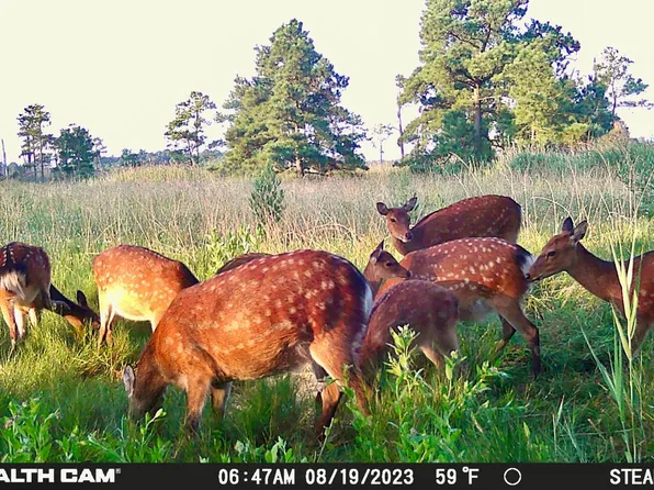 2936 Lakesville Rd, Church Creek, MD 21622