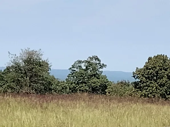 0 Toad Hollow Rd, Mountain View, AR 72560