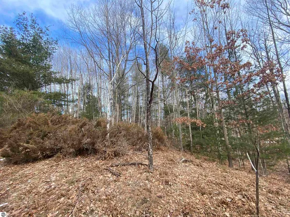 LOT 31 Scenic Hills Dr, Williamsburg, MI 49690