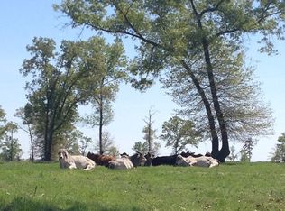 1639 Homer Cooper Rd, Marshall, TX 75672