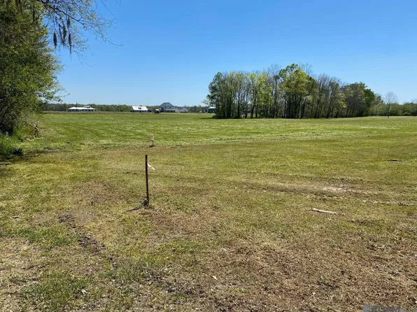 1096 Wilkinson Ln, Port Allen, LA 70767