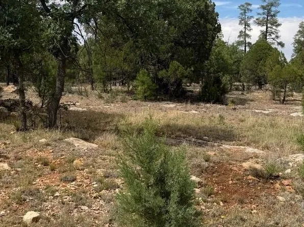 2989 ROBIN Lane #0, Happy Jack, AZ 86024