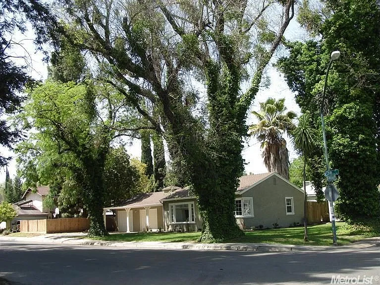 1117 Pearl St photo 1