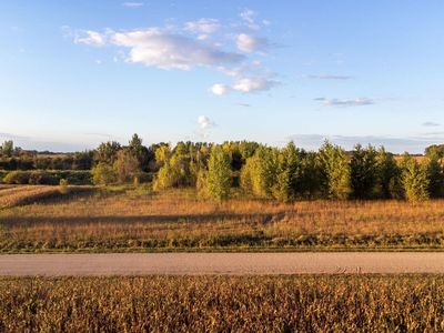 225th St, Litchfield, MN, 55355