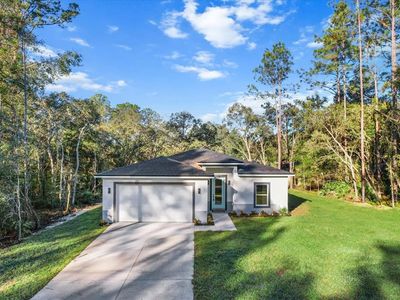 8114 N Tiny Lily Dr, Citrus Springs, FL, 34434