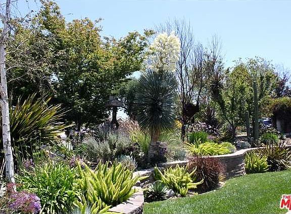 4th image of 586 Calle Jazmin