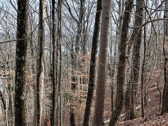 5th image of 28 Acres N Hillcrest Dr