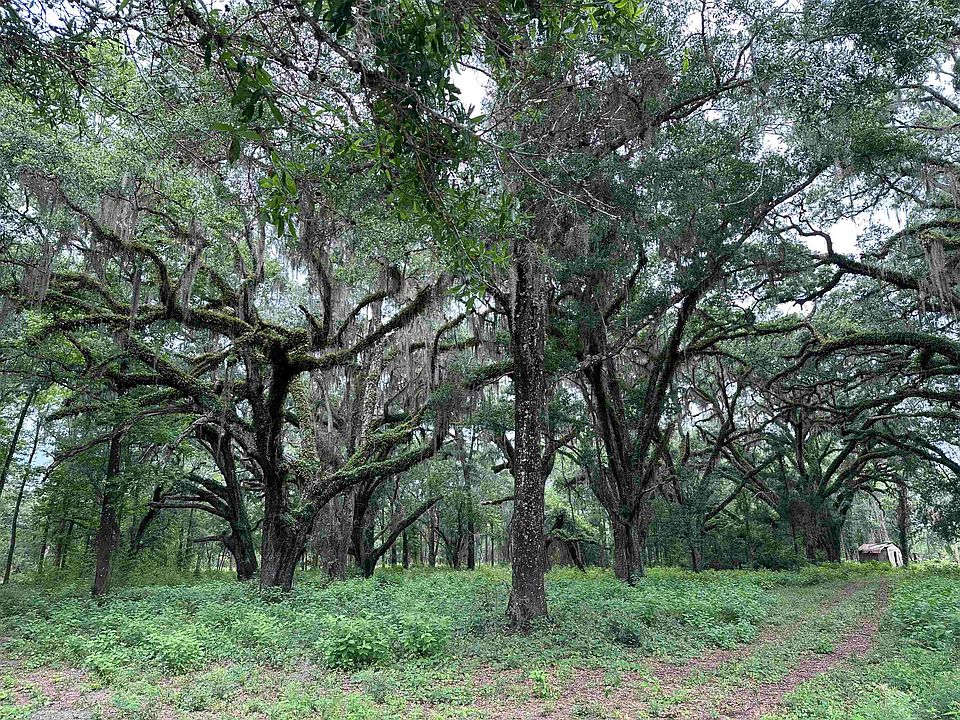 1st image of 2930 Coastal Hwy Lot 2