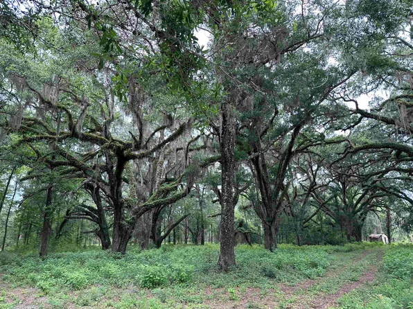 2930 Coastal Hwy Lot 2, Crawfordville, FL 32327