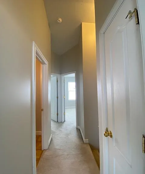354 E Braidhill Dr — Photo 19