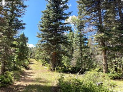 L-27 Copper Mountain Rd, Cotopaxi, CO, 81223