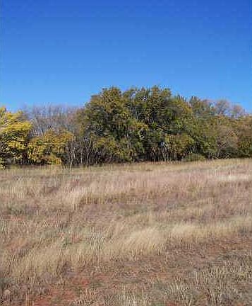 5th image of 28 County Street 2900 Tract Lot 7