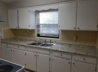 393 Edson Dr, Orange Park, FL 32073