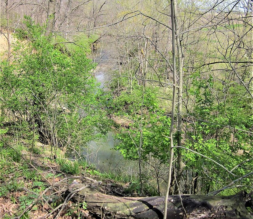 1st image of Glennoak Dr