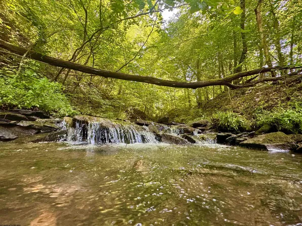 1 John Orr Rd, Independence, WV 26374