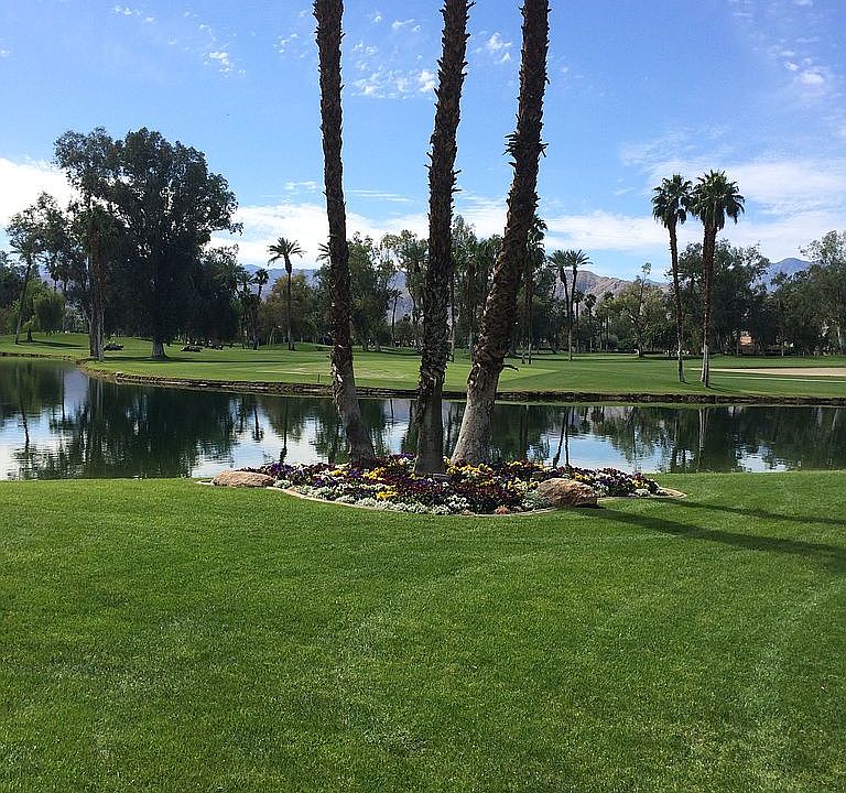 View from Living room