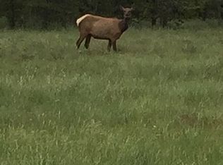 31 Dude Ranch Ln, Anaconda, MT 59711