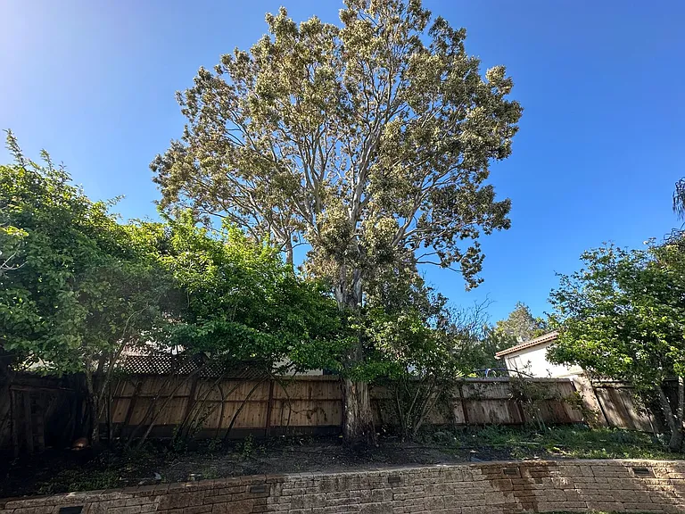 417 Woodbridge St — Photo 24