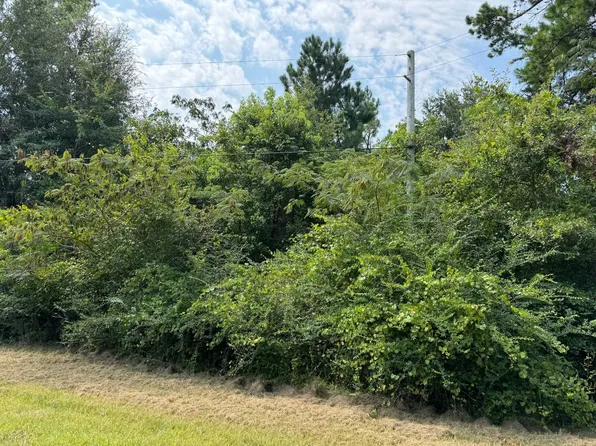 0 Westwood Dr Lot 13, Alford, FL 32420