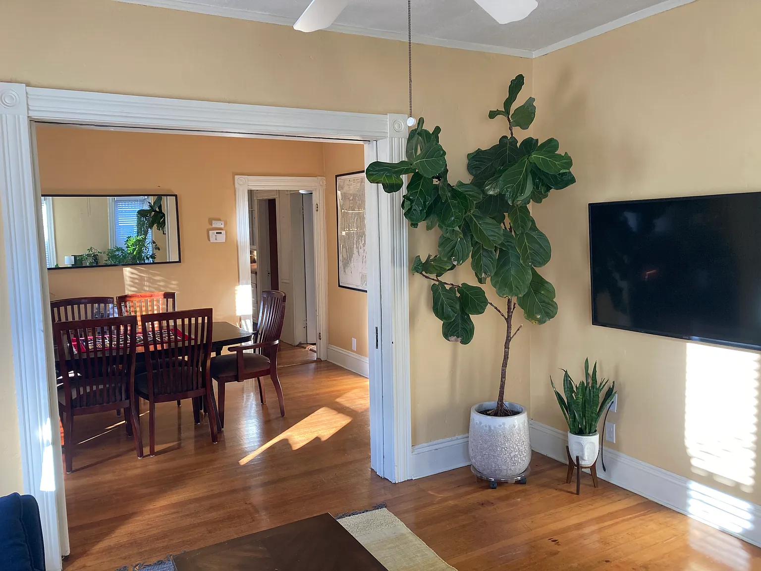28 Violet St — Photo 2