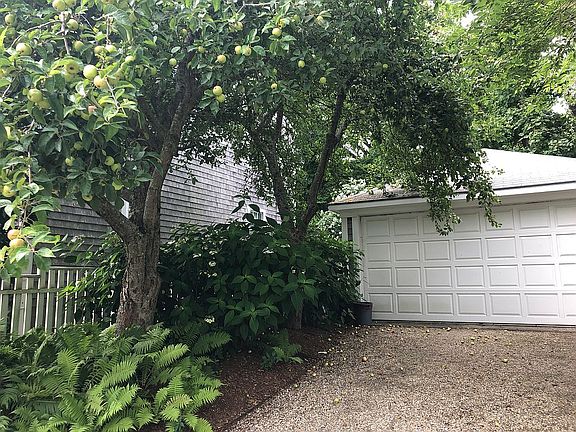 Apple trees / 2 car garage