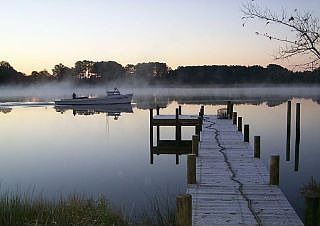 Morning mist over the creek
