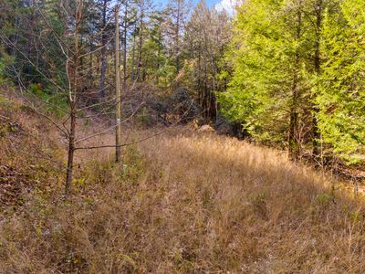 0 Mill Branch Rd, Beattyville, KY, 41311