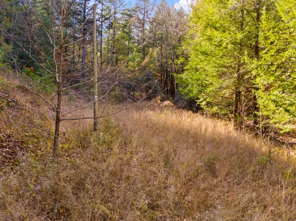 0 Mill Branch Rd, Beattyville, KY 41311