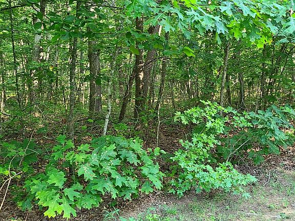 4th image of 328 Timberwood Trce Lot 328