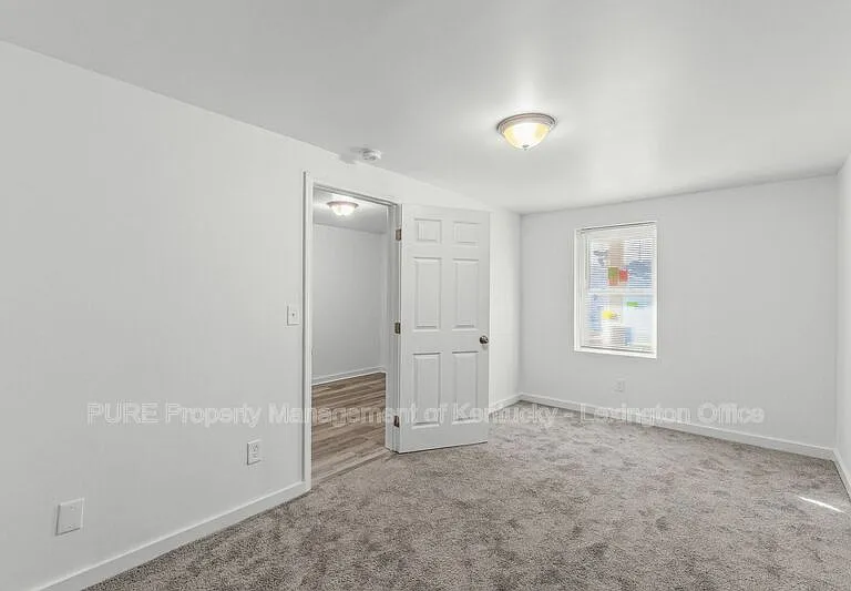 725 E College St #725 E COLLEGE STREET — Photo 5