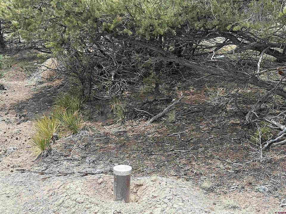 2nd image of 207 Wolf Creek Rd