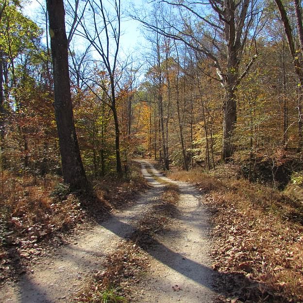 2nd image of Old Cape Rd