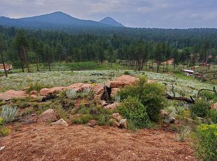 83 Trail Creek Cir, Lake George, CO 80827