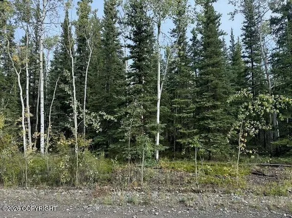 4 Butch Kuth Ave, Tok, AK 99780
