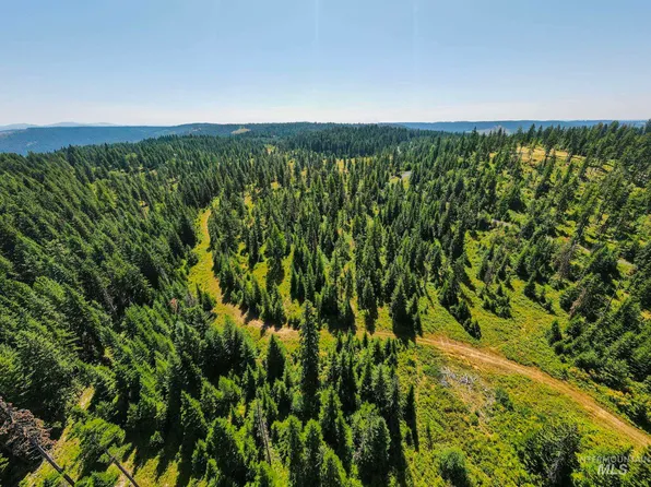 0 Forest Way Dr, Orofino, ID 83544