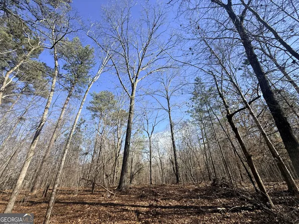 1 Bunch Rd, Tignall, GA 30668