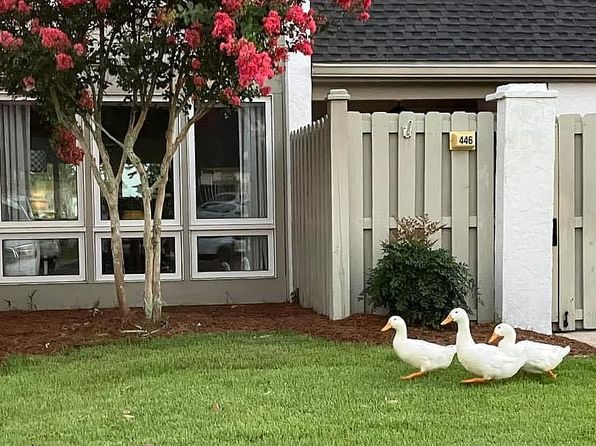 4305 Bay Point Rd #447