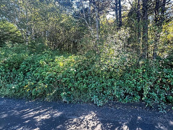 2nd image of Tl 1700 Sw Tillicum Dr