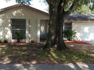 10113 Lazy Creek Ct, Tampa, FL 33615