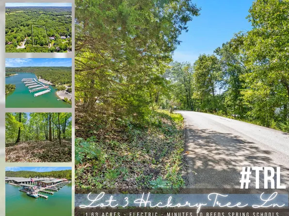 Lot 3 Hickory Tree Lane, Galena, MO 65656