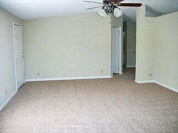 Picture3