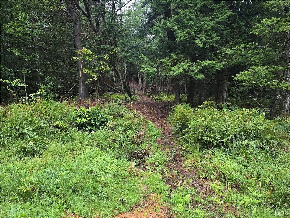 2nd image of Burton Rd Lot 7