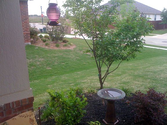 Street View from Porch