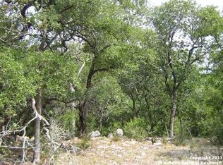 1029 Pegasus Dr, Spring Branch, TX 78070